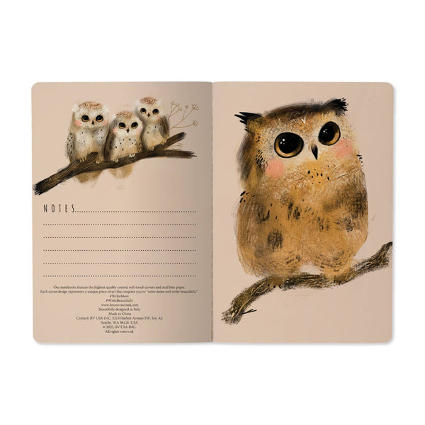 BV by Bruno Visconti - A5 Notebook -  Owlets