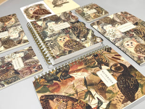 BV by Bruno Visconti - Pocket Art Journal  - Owls
