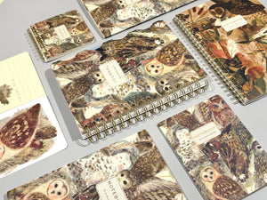 BV by Bruno Visconti - Pocket Art Journal  - Owls