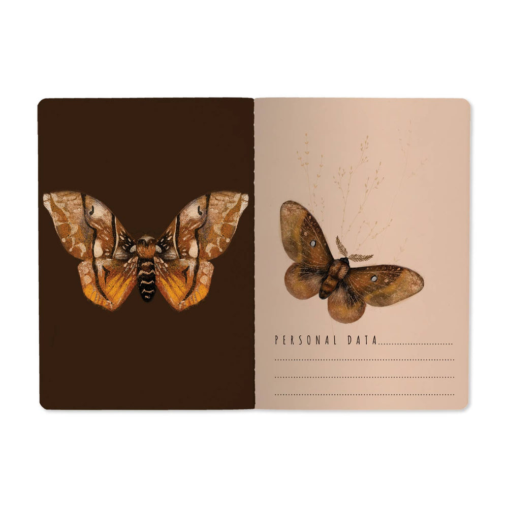 BV by Bruno Visconti - A5 Notebook -  Butterflies on Blush