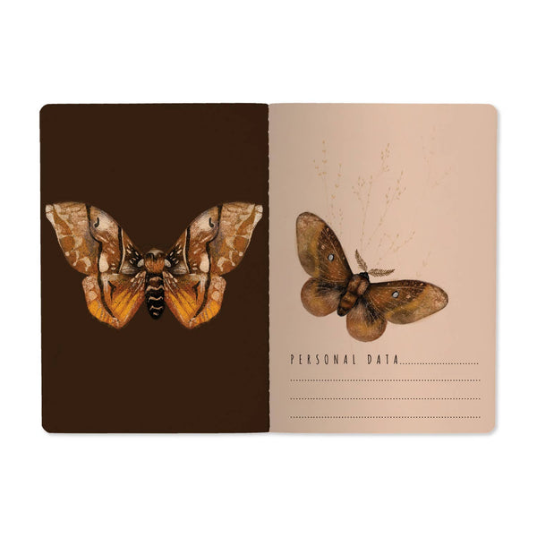 BV by Bruno Visconti - A5 Notebook -  Butterflies on Blush