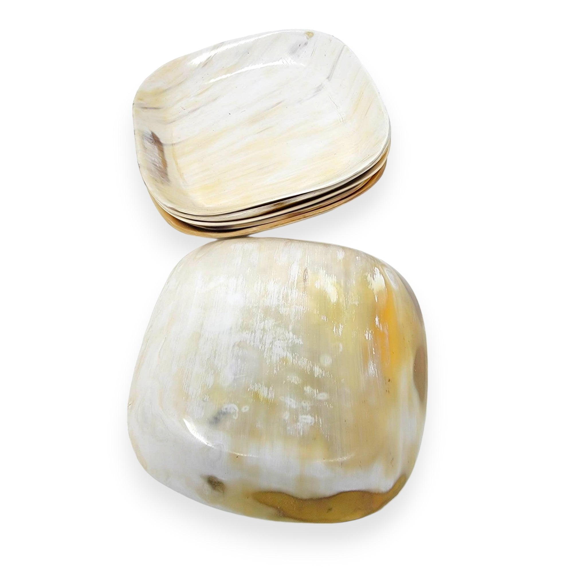 SQUARE DISH TRAY | ANKOLE COW HORN | TRINKET DISH