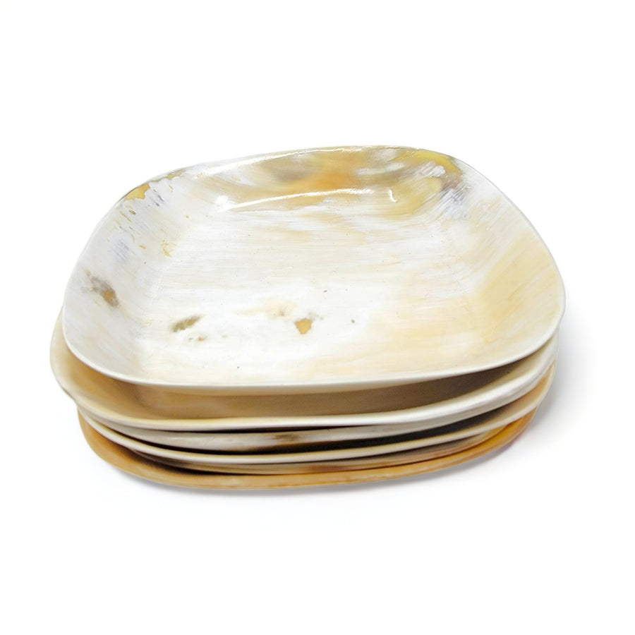 SQUARE DISH TRAY | ANKOLE COW HORN | TRINKET DISH