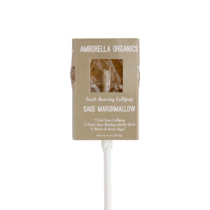 Amborella Organics - Blooming Lollipop Bundle (Eat, Plant & Grow an Herb/Flower)