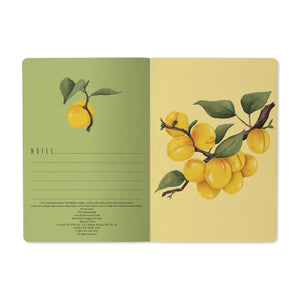 BV by Bruno Visconti - A5 Notebook - Apricots on the Tree