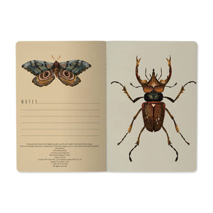 BV by Bruno Visconti - A5 Notebook -  Entomology