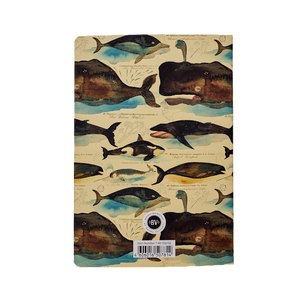 BV by Bruno Visconti - Whales Notebook