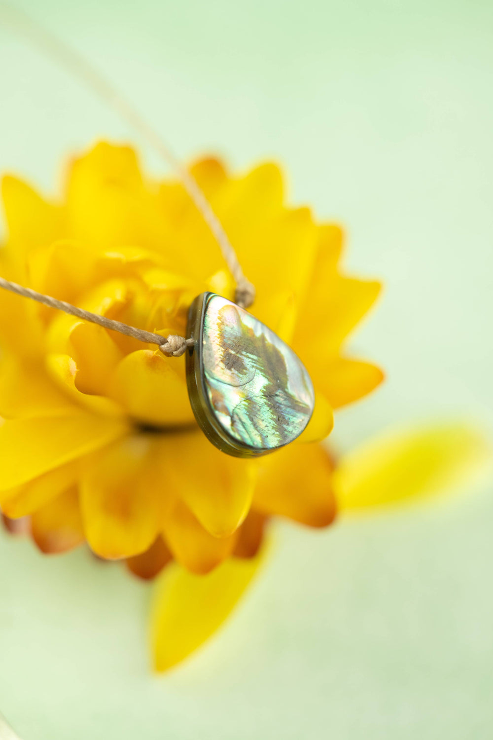 Blessings Abalone Necklace
