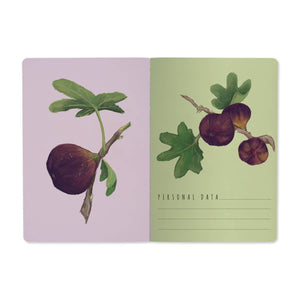 BV by Bruno Visconti - A5 Notebook -Figs on White