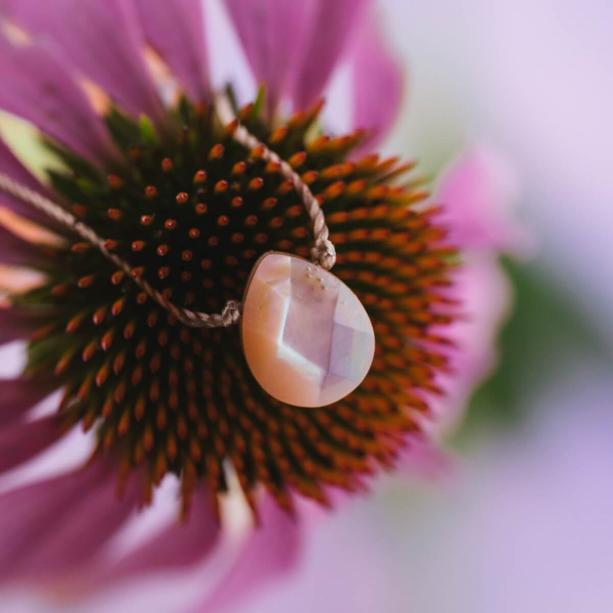 She Rises Heart of Pink Shell Necklace