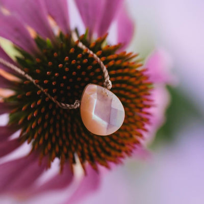 She Rises Heart of Pink Shell Necklace