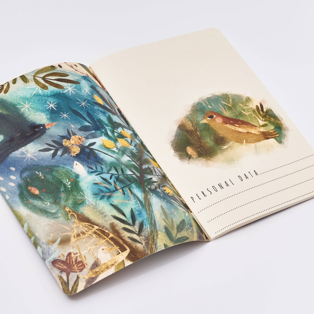 BV by Bruno Visconti - Roman Murals Notebook