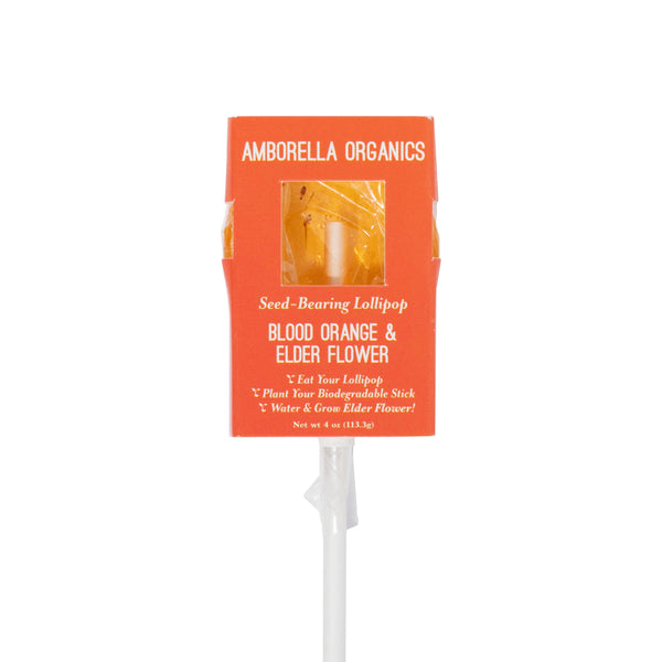 Amborella Organics - Blooming Lollipop Bundle (Eat, Plant & Grow an Herb/Flower)