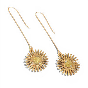 Sol Brass and Gemstone Resin Earrings