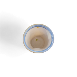 yunomi tea cup