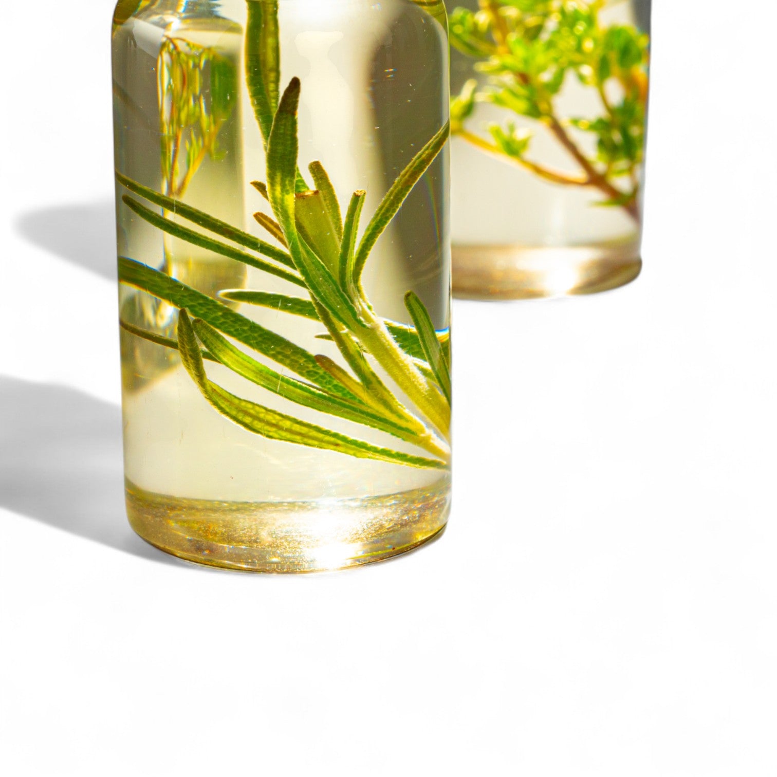 Total Body Care - Moisturizers for Face, Body and Feet