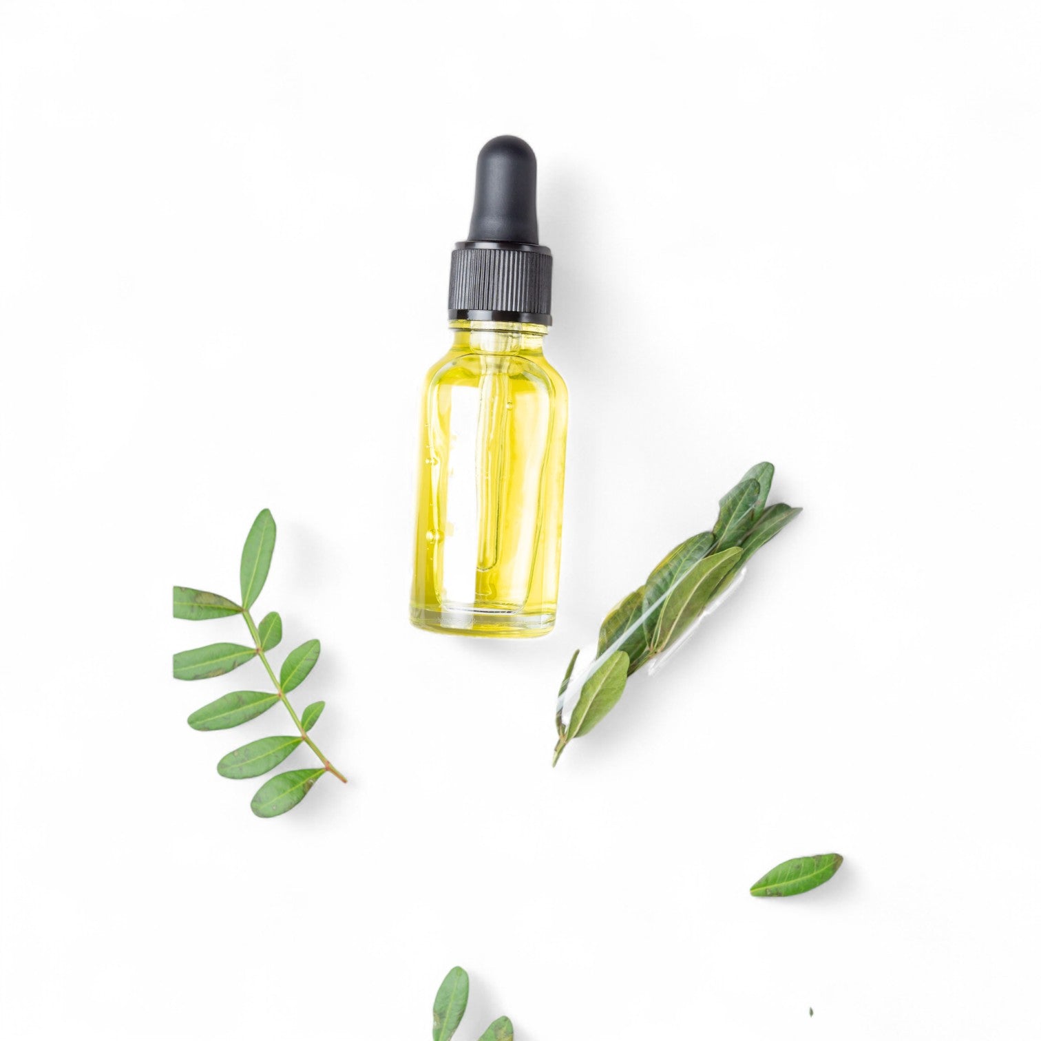 Total Body Care - Moisturizers for Face, Body and Feet