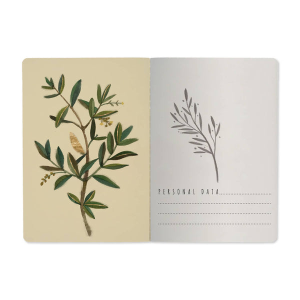 BV by Bruno Visconti - A5 Notebook - Olive