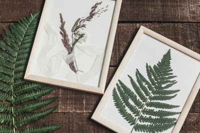 All Things Botanical - Pressed Flower Wall Art, Lanterns, and Candles