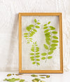 All Things Botanical - Pressed Flower Wall Art, Lanterns, and Candles