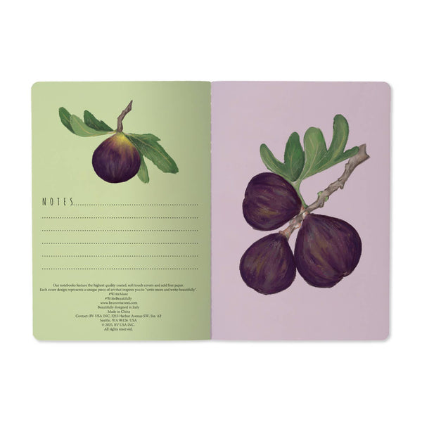 BV by Bruno Visconti - A5 Notebook -Figs on White