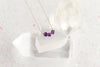 SoulKu - Amethyst Birthstone Necklace for February - BRTH02