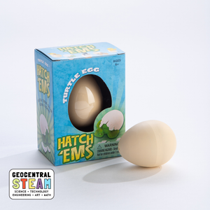 GeoCentral - Turtles (Mini Hatch'ems) | Watch them Grow!