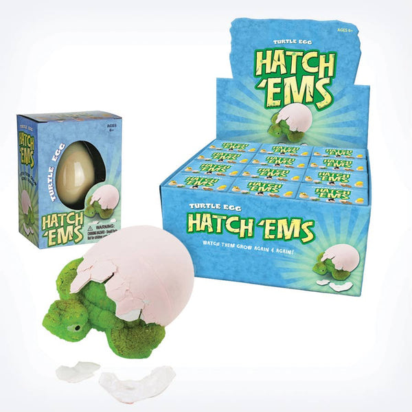 GeoCentral - Turtles (Mini Hatch'ems) | Watch them Grow!