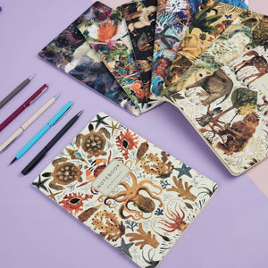 BV by Bruno Visconti - Deep Sea Notebook