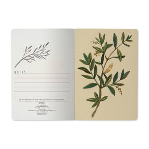 BV by Bruno Visconti - A5 Notebook - Olive