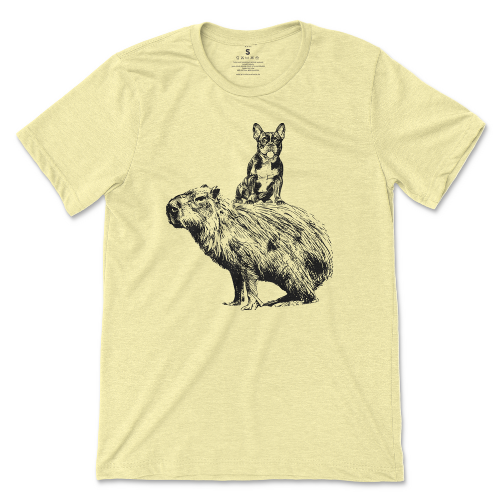 Apparel