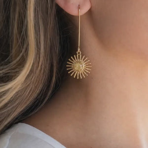 Sol Brass and Gemstone Resin Earrings