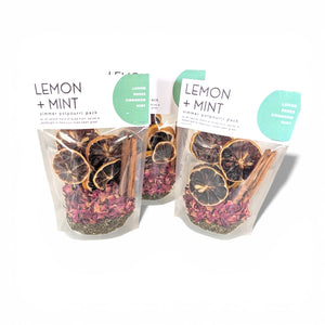 Stovetop Potpourri Kit - Lemon + Mint