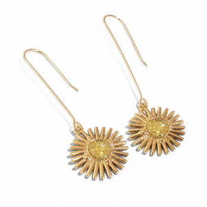 Sol Brass and Gemstone Resin Earrings