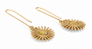 Sol Brass and Gemstone Resin Earrings