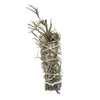 Eucalyptus + Sage Smudge Stick