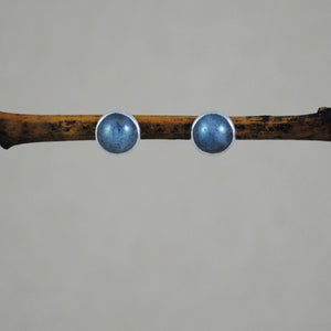 Small Stone Studs