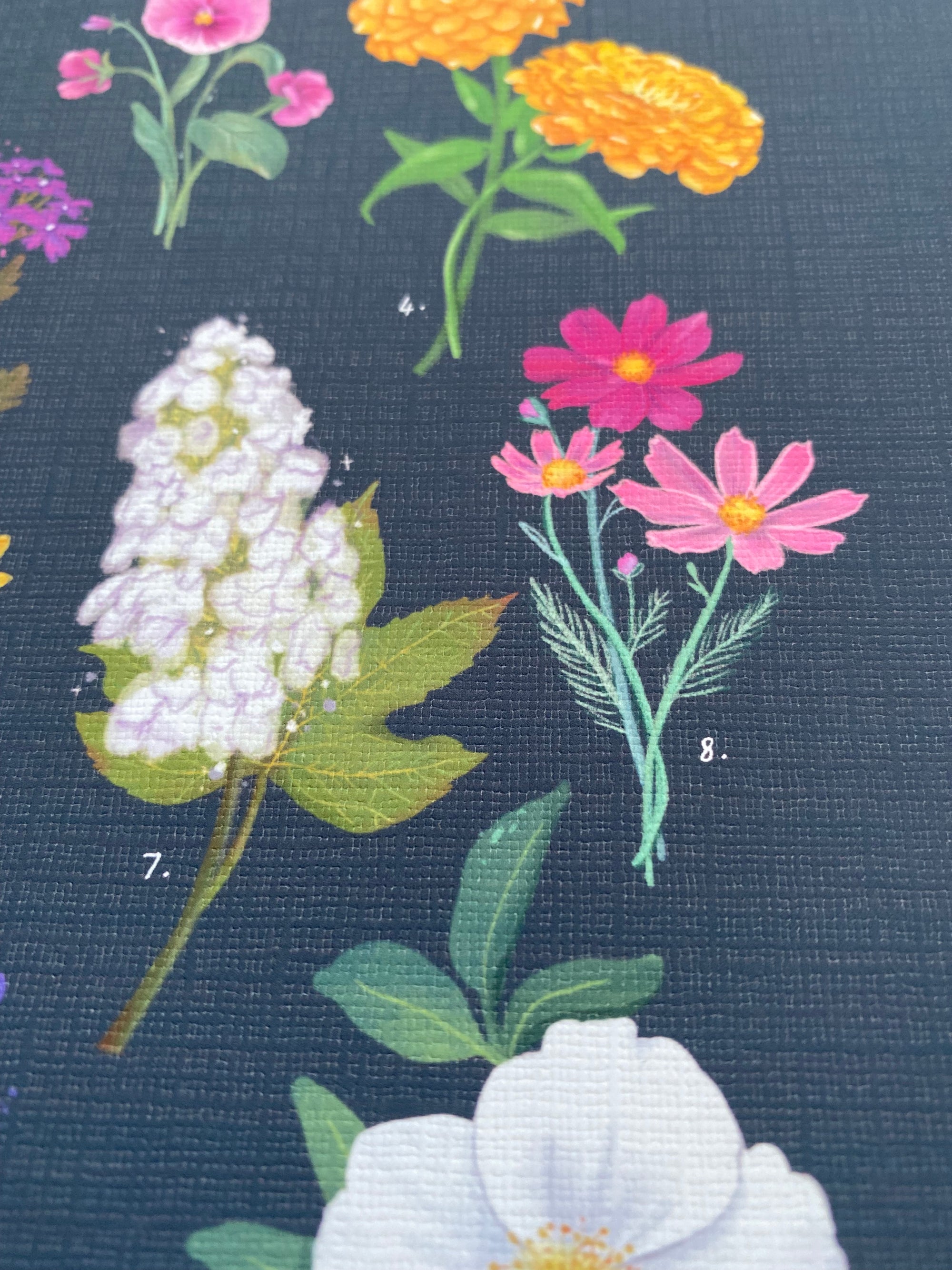 *New! Print - Georgia Flowers