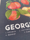 *New! Print - Georgia Peaches