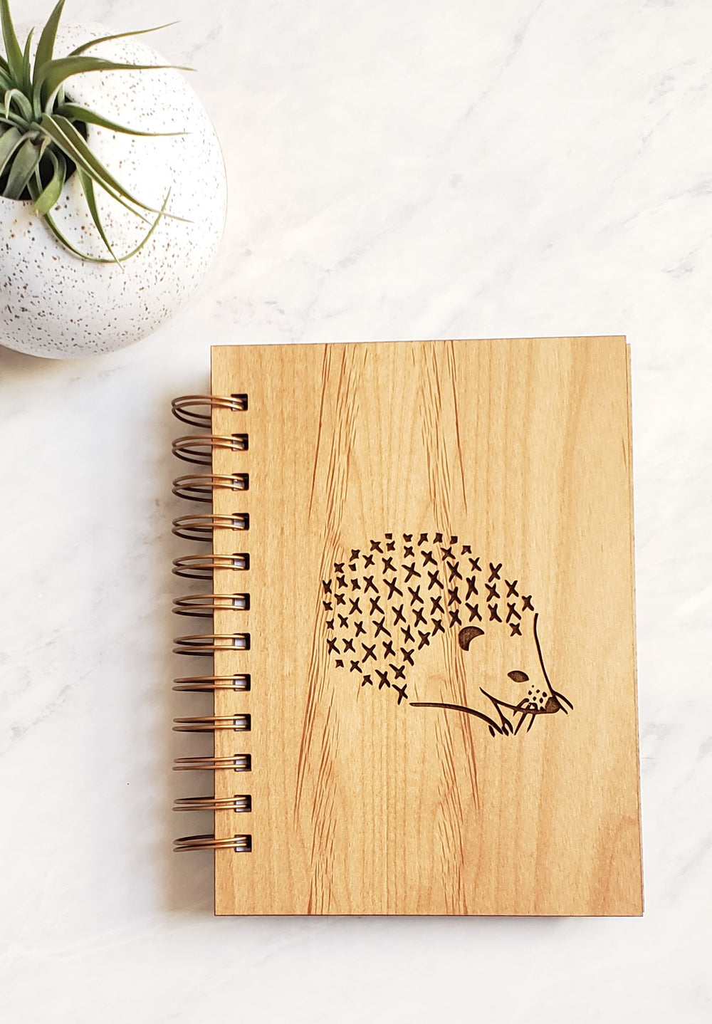 Journal - Hedgehog