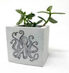 Concrete Cube Pots