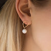 teardrop stud with hanging pearl earrings - gold-filled