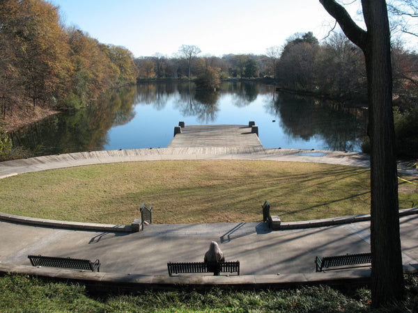 Clue Town Books: Piedmont Park