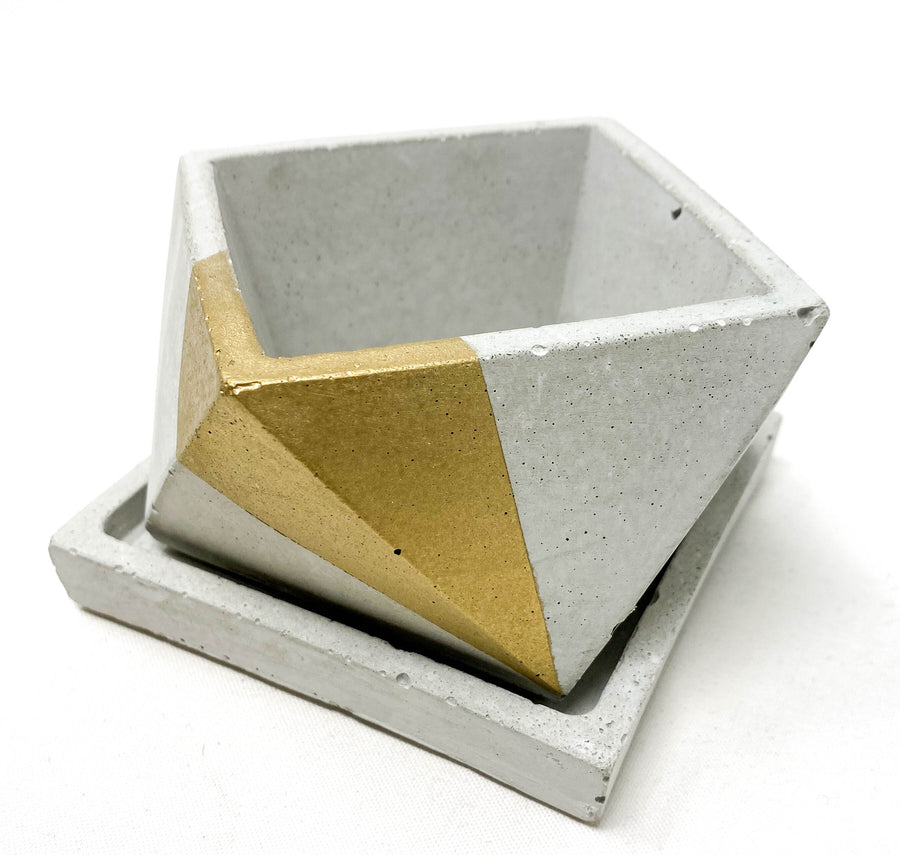 Concrete Planter with Tray