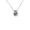 Positivity Luxe Necklace - Rainbow Fluorite