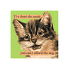 Refrigerator Magnet - I've Done The Math
