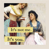 Refrigerator Magnet - It's Not Me